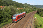Die Dieseltriebwagen der "LINT"-Familie (LINT = Leichter Innovativer Nahverkehrs-Triebwagen) beherrschen mittlerweile als kostengünstige Alternative zu den lokbespannten Zügen den Nahverkehr auf den nicht elektrifizierten Strecken.  Hier ist 648 319 bei Hersbruck als Regionalbahn 35696 (Neuhaus - Nürnberg) unterwegs. (19.08.2010) <i>Foto: Joachim Bügel</i>