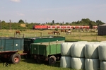 Den Sommer genießen die Pferde auf einer Koppel in Langenfeld-Berghausen. Die Vorbeifahrt der 143 336 mit einem Zug auf der Linie S 6 (Köln - Essen) lässt sie ungerührt. (22.07.2013) <i>Foto: Wolfgang Bügel</i>