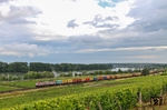 Durch die Weinberge südlich von Nackenheim fährt Crossrail 185 602 mit einem Containerzug. (23.06.2015) <i>Foto: Joachim Bügel</i>