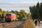 Nur kurz störte 218 837 von DB-Fernverkehr die Idylle der Sonntagsspaziergänger als Tfzf 27862 von Köln Bbf nach Kassel-Wilhelmshöhe bei Solingen. (07.10.2018) <i>Foto: Joachim Bügel</i>