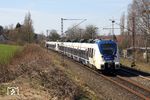 NX 353 (442 353) und und NX 865 (442 865) unterwegs als RE 32532 nach Rheine bei Gevelsberg. (22.03.2019) <i>Foto: Wolfgang Bügel</i>