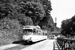 Die "neue Zeit" auf der Albtalbahn: elt 8-Triebwagen Nr. 5 (Düwag, Baujahr 1958) im Haltepunkt Ettlingen-Spinnerei. Ab 1982 trug er die Nummer 105 und wurde 1996 noch nach Timisoara/Rumänien verkauft. (12.08.1962) <i>Foto: Helmut Röth</i>
