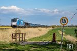 247 908 von der DB-Konkurrenz "Autozug Sylt" auf dem Weg zur Insel Sylt westlich von Niebüll. (25.04.2022) <i>Foto: Thorsten Eichhorn</i>