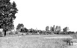 Lok 23 (Typ: ELNA 3) der Bentheimer Eisenbahn mit einem Ölzug an der Vechtebrücke bei Neuenhaus. Die BE beförderte Erdöl zur Raffinerie in Lingen, bis 1953 eine Pipeline von Osterwald zur Raffinerie in Betrieb genommen wurde, durch welche das bisher mit der Bahn beförderte Erdöl gepumpt wurde. Erhalten werden konnte der Bahnverkehr mit gefördertem Erdöl auf der Strecke Emlichheim – Osterwald. (1950) <i>Foto: Hermann Ott</i>